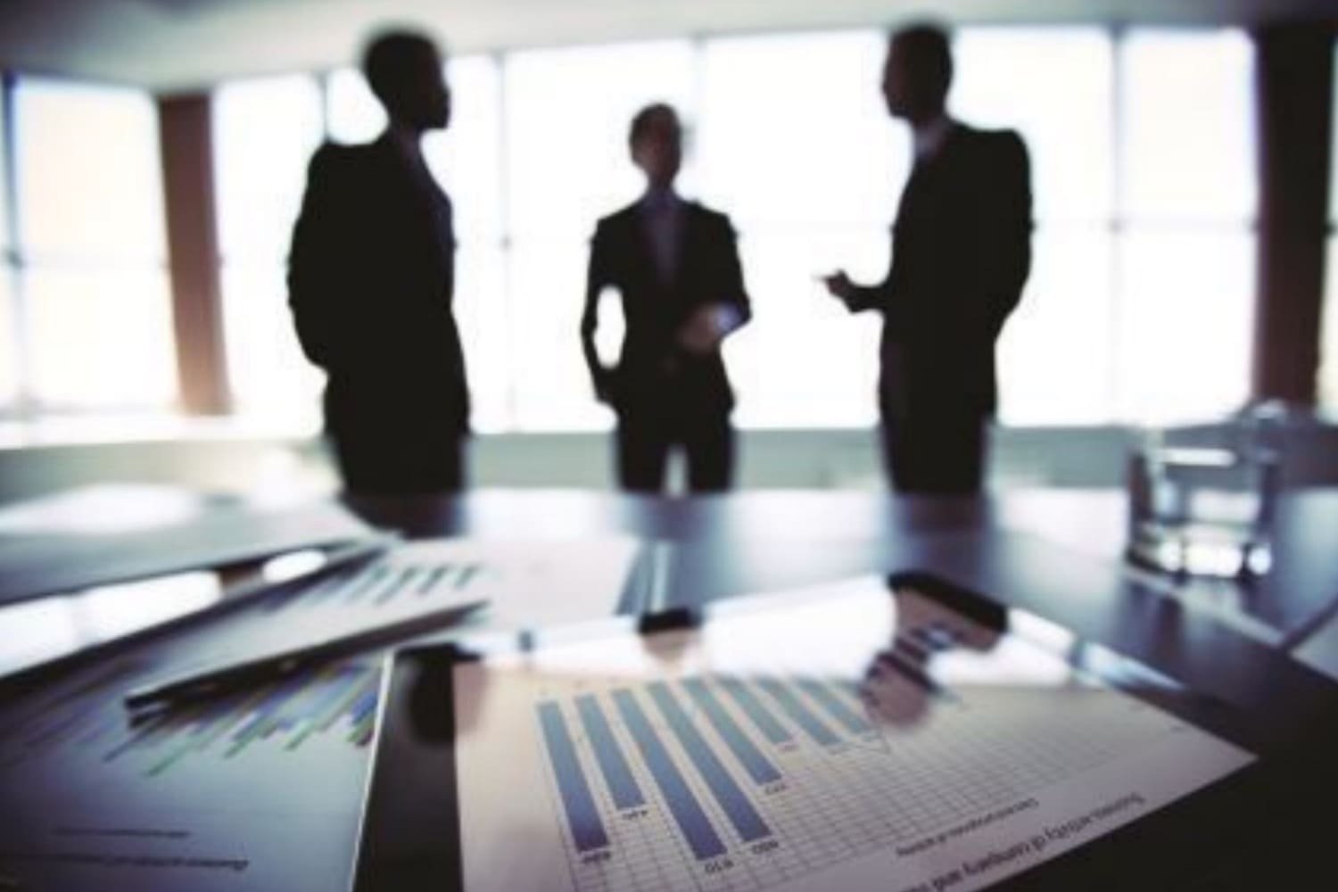 Government Procurement Services